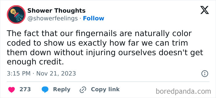 Tweet about fingernails being naturally color-coded for safe trimming, showcasing a clever shower thought.