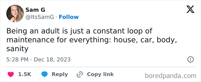 Tweet humorously describes adulthood as endless maintenance of house, car, body, sanity; example of hilarious adulthood posts.