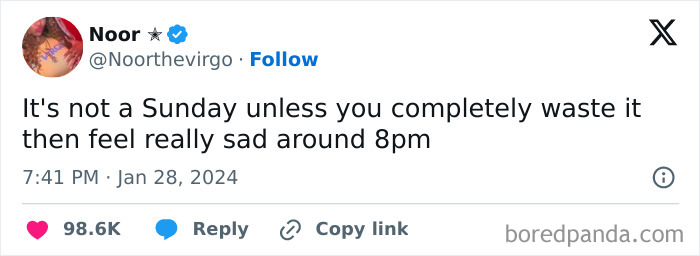 Funny meme about wasting Sundays and feeling sad by 8pm, illustrating humorous internet culture.