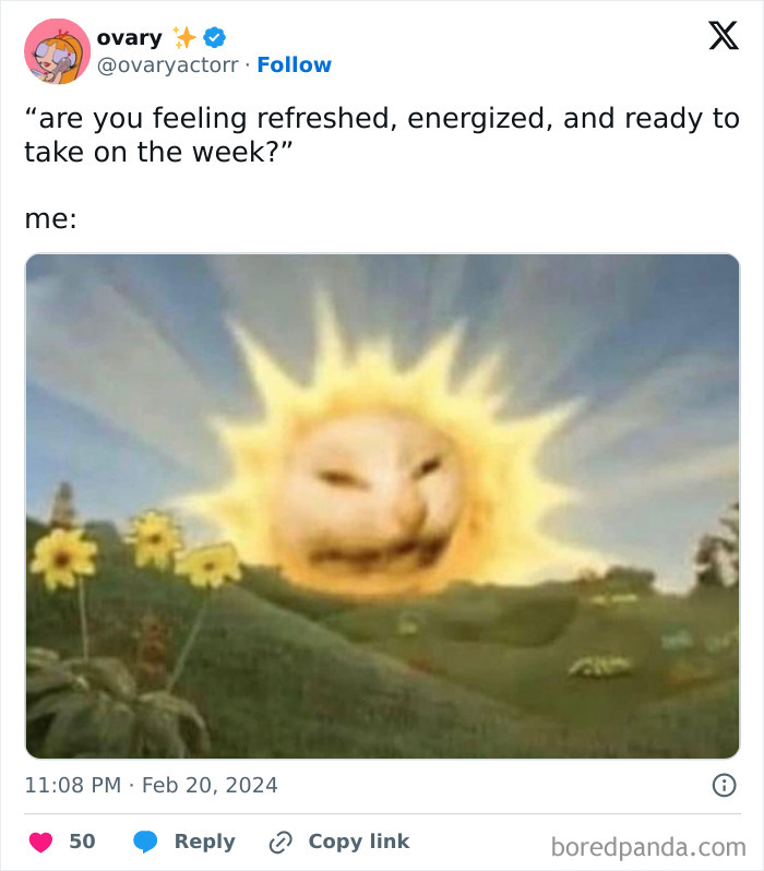 Cat-faced sun in meme humorously depicts mental health, feeling unprepared for the week.
