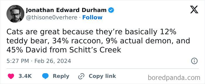 Text post humorously describing cats with uplifting meme positivity.