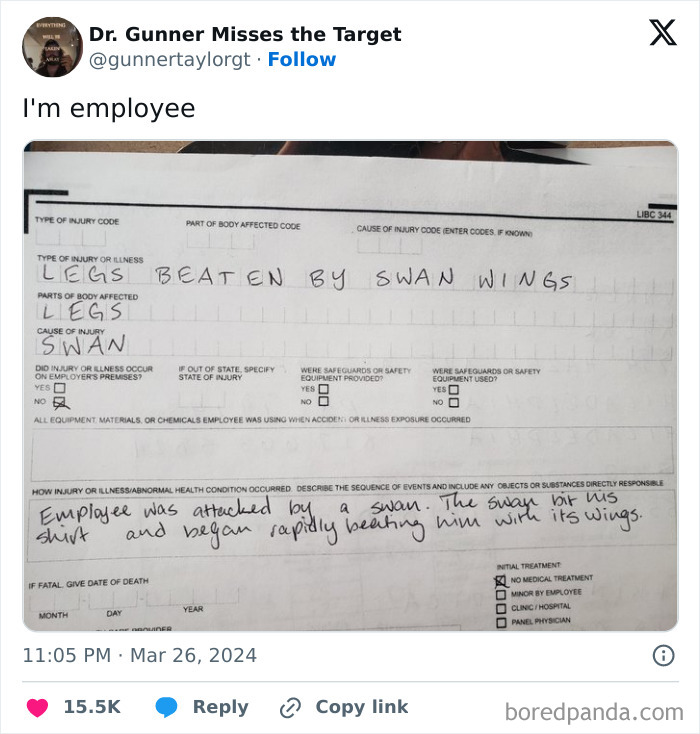 Injury report humorously detailing an incident where an employee was beaten by swan wings, depicting birds being total jerks.