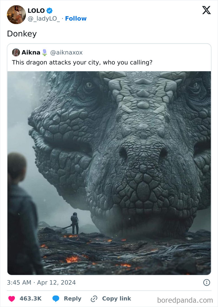 Funny meme of a man facing a giant dragon on a lava field, labeled "Donkey" for comedic effect.