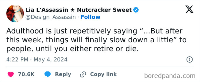 Tweet about the humor of adulthood, highlighting the endless cycle of promises for things to slow down.