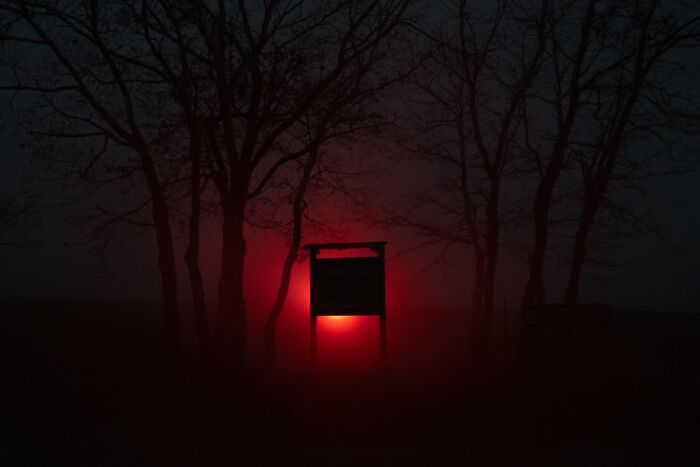 Silhouetted trees and a glowing red light behind a sign, creating a mysterious scene for The Coincidence Project.