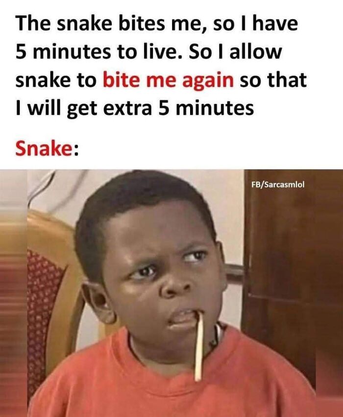 A funny meme illustrating dad’s humor with a surprised child and text about getting bitten by a snake for extra time.