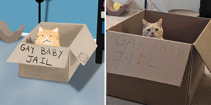 Illustrator transforms a funny animal photo of a cat in a box labeled "Gay Baby Jail" into charming artwork.