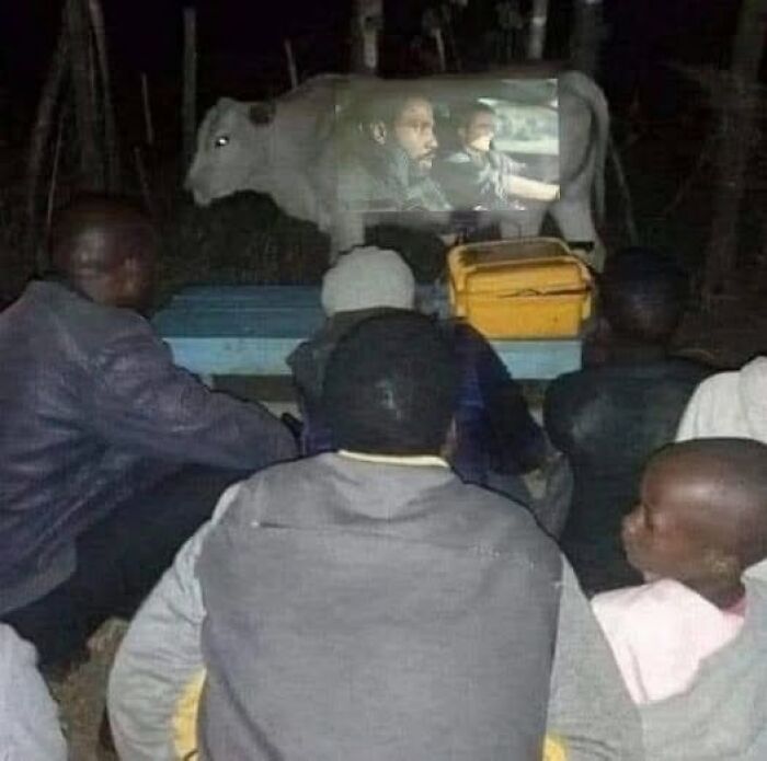 Personas observando una proyección de película sobre una vaca, destacando una de las imágenes más raras.