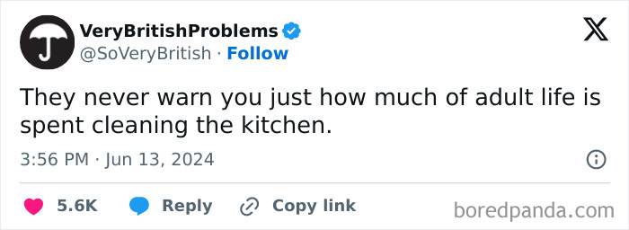 Tweet humorously highlighting adulthood challenges of cleaning.