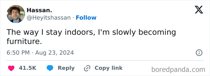 Tweet meme: "The way I stay indoors, I'm slowly becoming furniture."