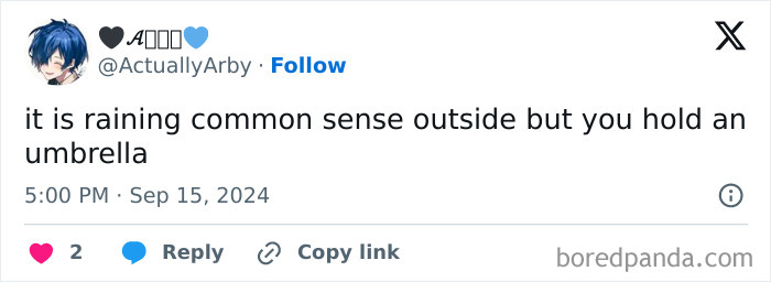 Tweet showcasing clever wordplay about common sense and holding an umbrella.