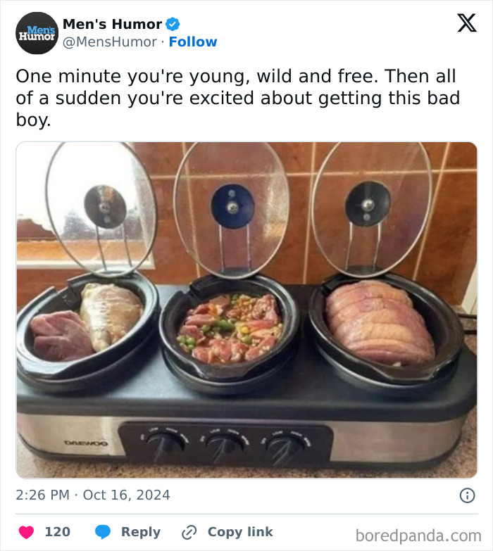 Men's humor meme showing a three-section slow cooker with meat, captioned about growing excitement for kitchen gadgets.