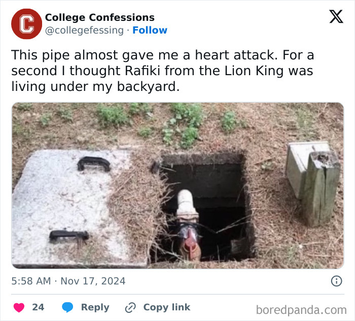 Funny meme of a pipe resembling Rafiki from Lion King in a backyard setting.