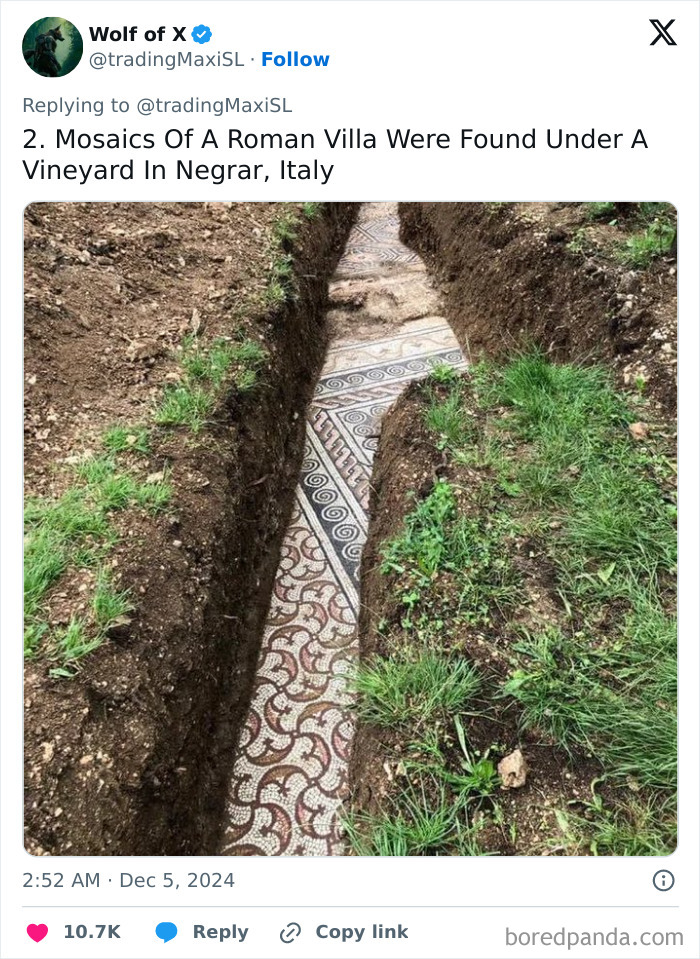 Roman mosaics unearthed beneath a vineyard in Negrar, Italy, revealing fascinating archaeological finds.