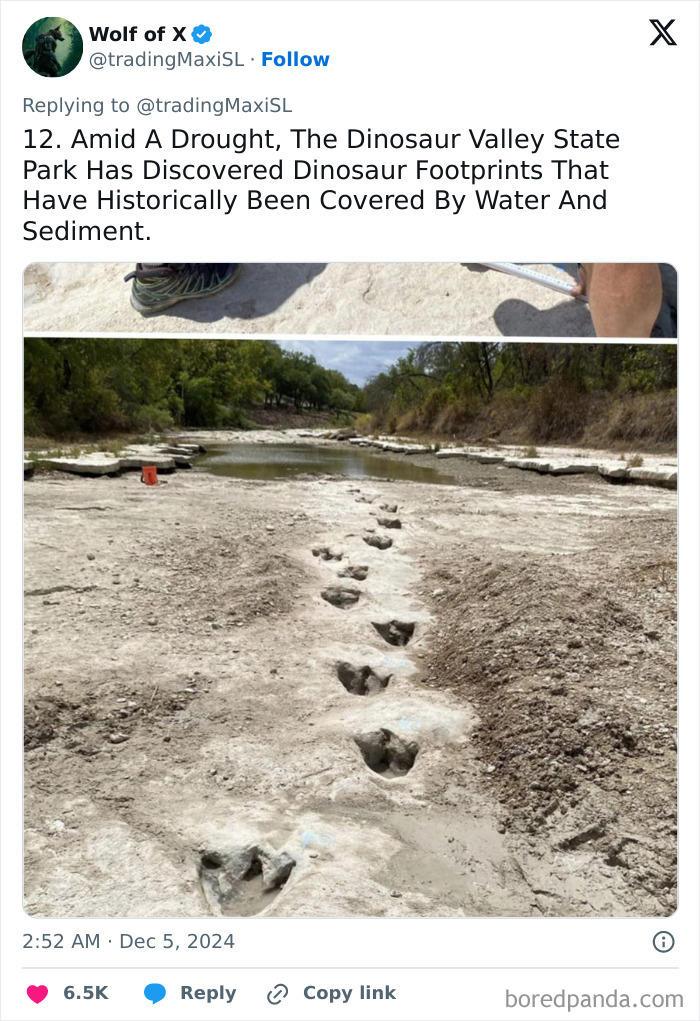 Dinosaur Valley State Park reveals unearthed dinosaur footprints uncovered by drought, showcasing recent archaeological finds.