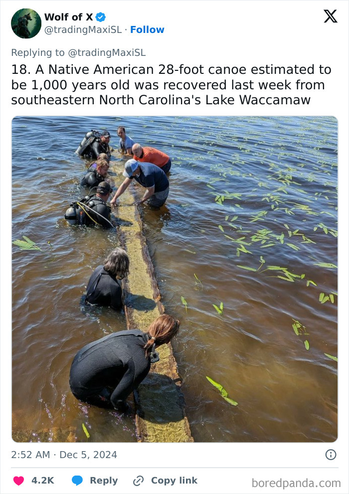 Divers unearth an ancient 28-foot Native American canoe from Lake Waccamaw.