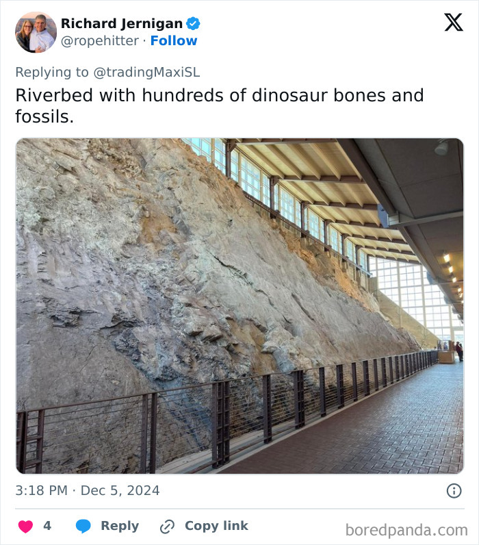 Riverbed with exposed dinosaur fossils, showcasing a recent fascinating archaeological find.