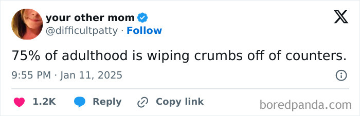 Tweet humorously describing adulthood as wiping crumbs off counters.