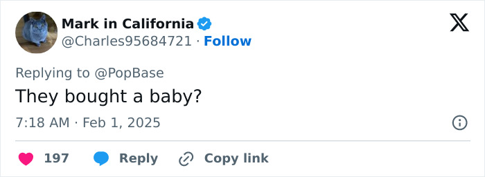 Tweet questioning celebrity&rsquo;s surrogate baby decisions, dated February 1, 2025.