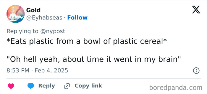 Tweet humorously reacts to study on microplastics in brains, mentioning eating plastic cereal. Tweet humorously reacts to study on microplastics in brains, mentioning eating plastic cereal.