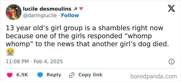 Tweet by a parent describes a 13-year-old's group turmoil after a girl's nonchalant reaction to another's dog's death.