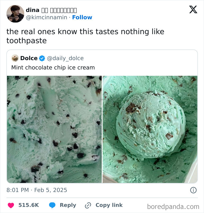 Mint chocolate chip ice cream with a humorous comment, showcasing internet humor.
