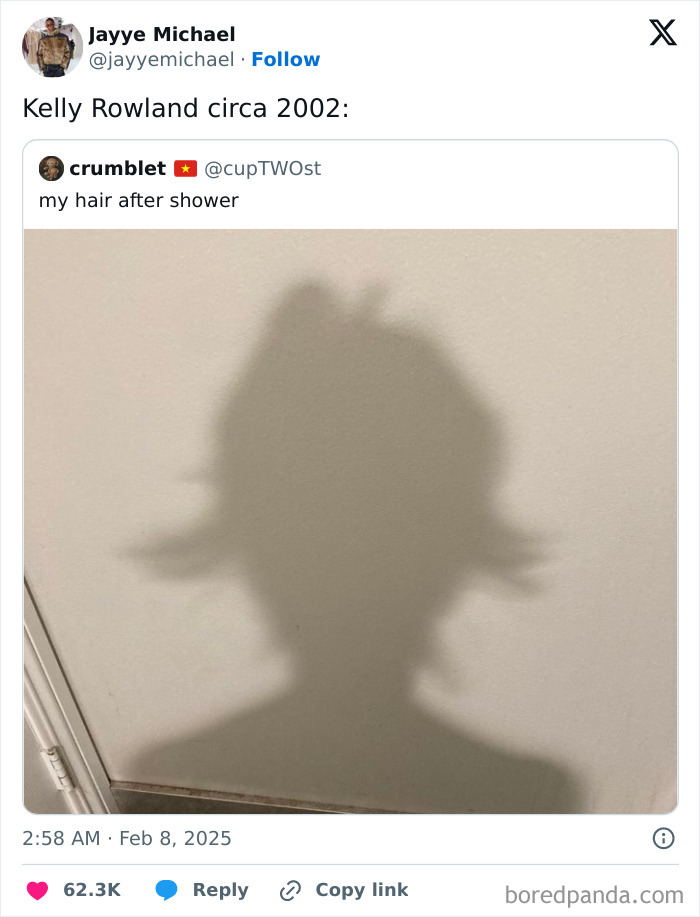 Shadow resembling 2002 Kelly Rowland hairstyle, captioned "my hair after shower," featured in a humorous February tweet.