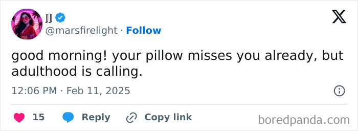 Tweet about adulthood humor, saying "your pillow misses you, but adulthood is calling."