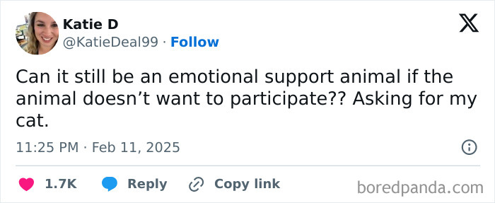 Tweet humorously questions if a cat can be an emotional support animal if it's unwilling.