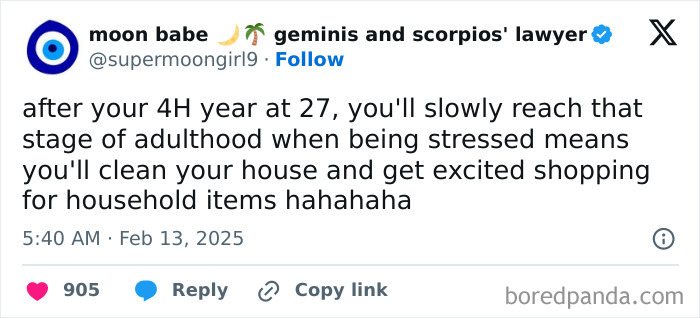 Text post humorously describing adulthood as cleaning and shopping for household items when stressed.