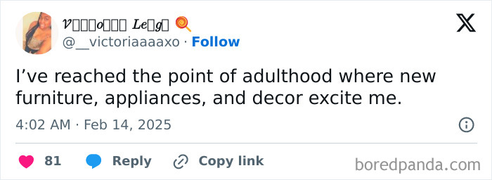 Tweet about adulthood: finding joy in new furniture, appliances, and decor.