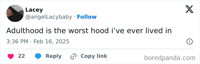 Social media post humorously comparing adulthood to a challenging neighborhood.