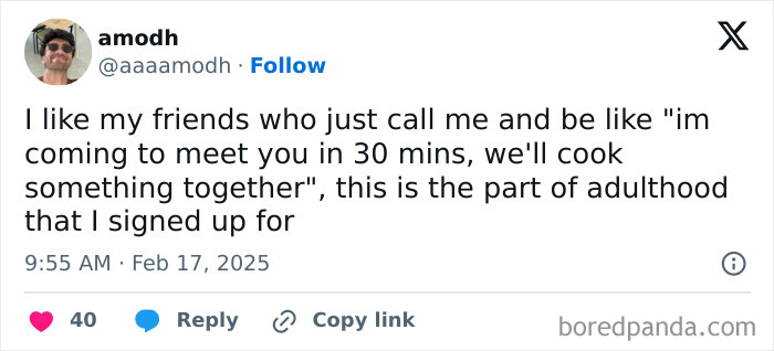 Funny adulthood post about spontaneous plans with friends to cook together.
