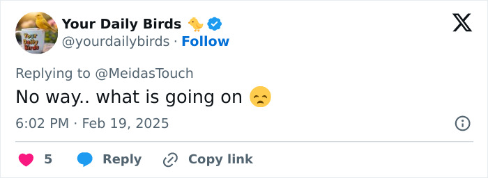 Tweet reaction to planes colliding mid-air in Arizona with a concerned emoji.
