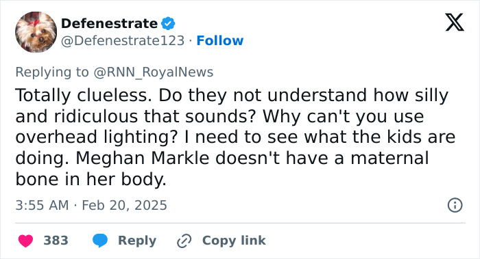 Tweet criticizing Meghan Markle's advice on kids' parties, calling it silly and ridiculous. Tweet criticizing Meghan Markle's advice on kids' parties, calling it silly and ridiculous.