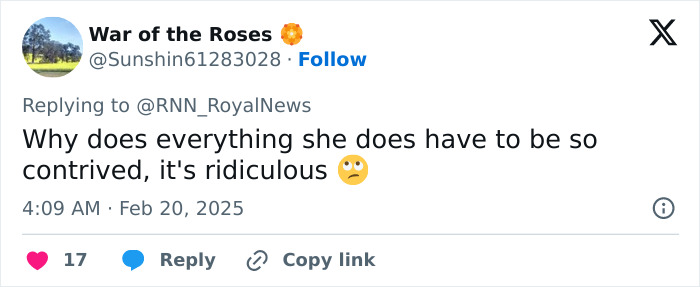 Tweet criticizing Meghan Markle's advice for kids' parties, calling it contrived and ridiculous. Tweet criticizing Meghan Markle's advice for kids' parties, calling it contrived and ridiculous.