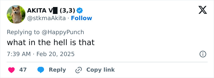 Tweet reacting to a controversial MMA fight, questioning its nature. Tweet reacting to a controversial MMA fight, questioning its nature.
