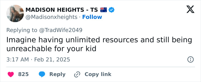 Tweet referencing Elon Musk's inaccessibility despite resources, posted by Madison Heights.