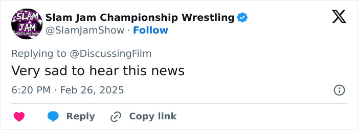 Tweet expressing sadness about news related to Michelle Trachtenberg.