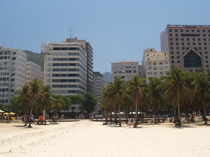 Retro Brazilian beach scene with palm trees and high-rise buildings on a sunny day.
