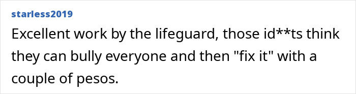 Comment praising lifeguard's actions, highlighting issues with entitlement and bribery.