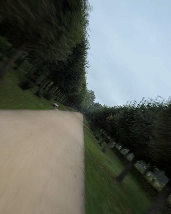 Pathway lined with trees, creating a perspective that may make you look twice.