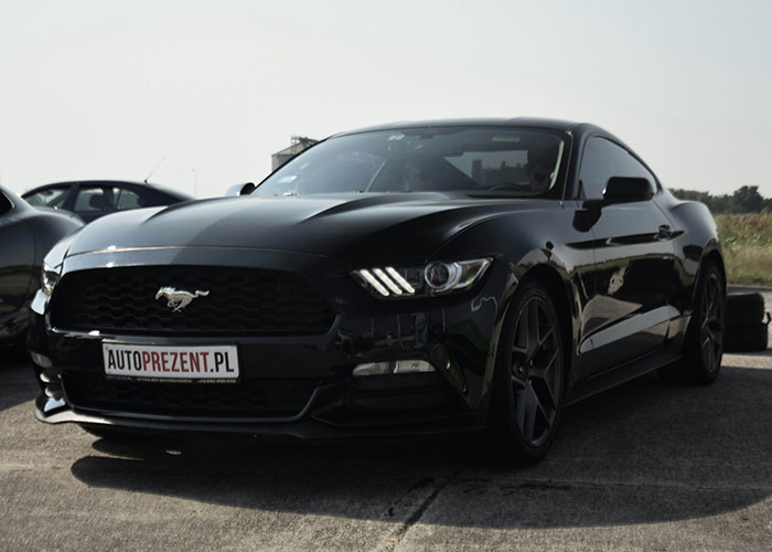 Black sports car parked on pavement, reflecting daylight, representing personal yard ownership.