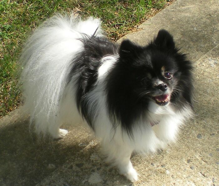 My 15 Year Old Girl Eowyn. How Can You Not Smile Back At Her?