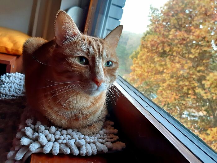 My Boy Is Enjoying The Fall Colors