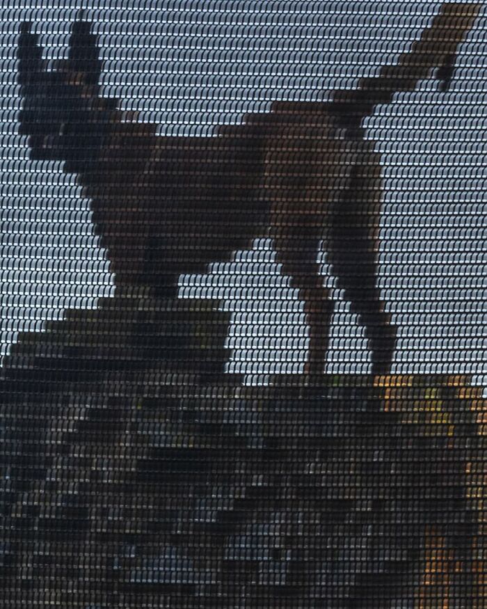 Silhouette of a dog behind mesh, creating an optical illusion; part of The Coincidence Project photo series.