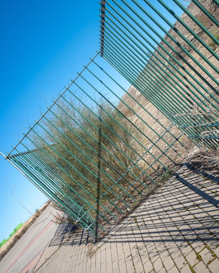 A tilted metal fence casting shadows on a sidewalk, creating a coincidental visual effect with nearby plants.
