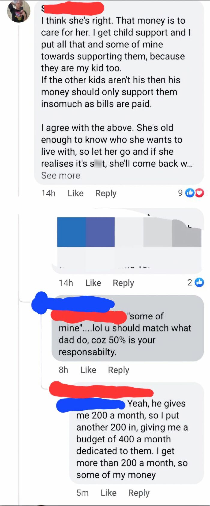 Social media comments exchange showing incorrect correction on child support responsibility.