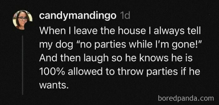 Text post humorously addressing mental health with a dog's "party" permissions when the owner leaves home.