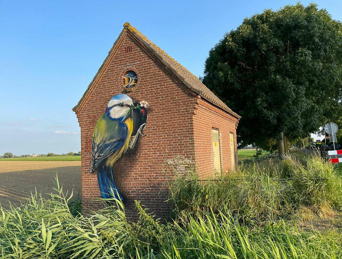 Hyperrealistic mural by Jan Is De Man of a bird on a small brick building in a rural setting.